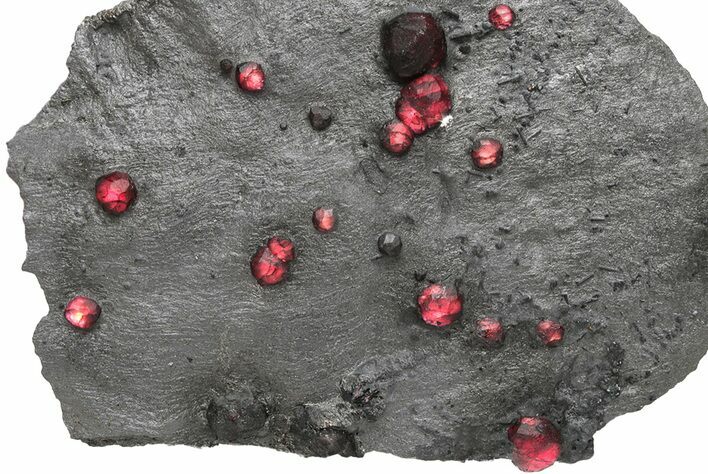 Plate of + Red Embers Garnets in Graphite - Massachusetts #225931